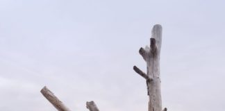 Für dieses Online-Marketing musst du den Gürtel nicht enger schnallen