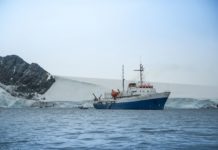 Ein Abenteuer im ewigen Eis